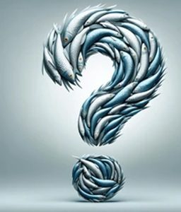 A question mark made of fish, the mystery September raffle prize